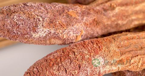 锁阳怎么泡酒可以壮阳？