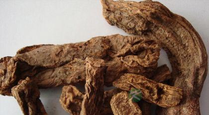 肉苁蓉和锁阳哪个好