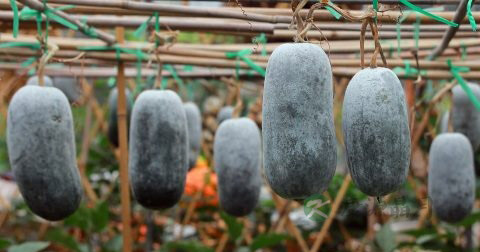 前列腺手术后注意事项 前列腺手术后注意事项