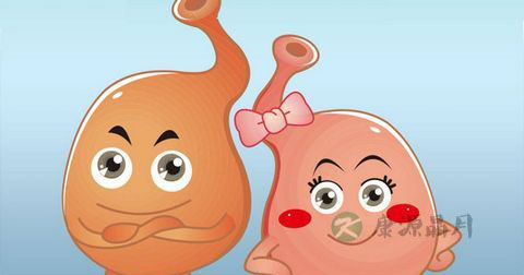 大便有白色粘液是怎么回事