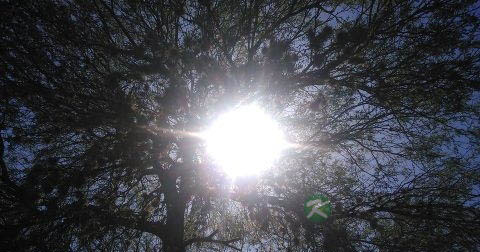 男士彩光嫩肤好吗 男士彩光嫩肤好吗