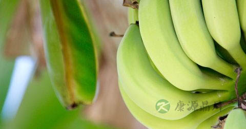 便秘的治疗方法