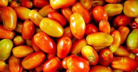 肘部皮肤粗糙怎么办 肘部皮肤粗糙怎么办