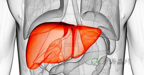 肝硬化早期和晚期死前症状