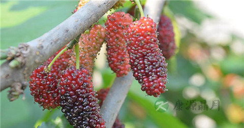 常用的男人助性药有哪些 常用的男人助性药有哪些