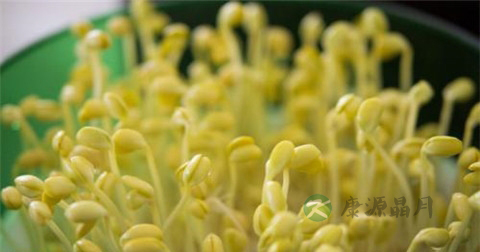 包茎过长手术方法