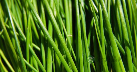 30岁的男人如何长高 30岁的男人如何长高