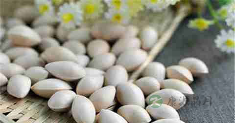 遗精早泄吃什么药 遗精早泄吃什么药