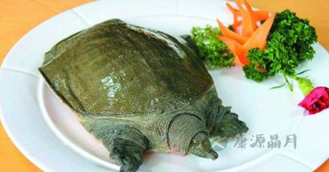 喝甲鱼血能治阳痿吗 喝甲鱼血能治阳痿吗