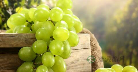 治疗前列腺炎最好的药