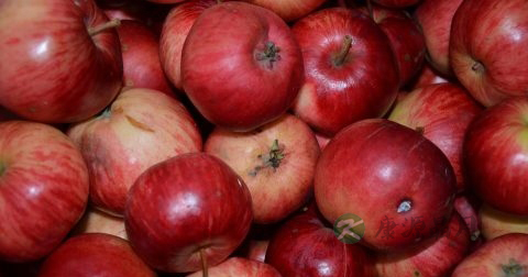 便秘的治疗方法