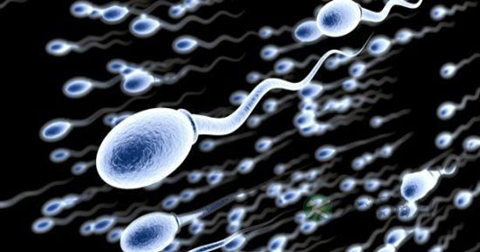 精子成活率低的原因 精子成活率低的原因