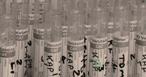 人工受精的过程