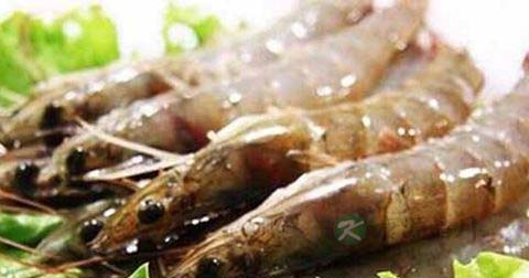 壮阳食物有哪些