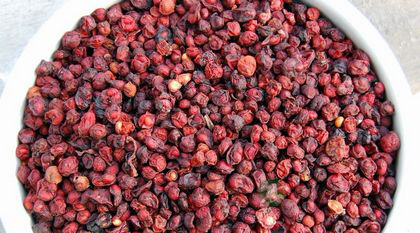 五味子治疗早泄吗