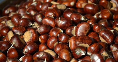 男人肾虚的表现