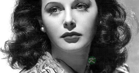 脸上长疖子怎么办 脸上长疖子怎么办