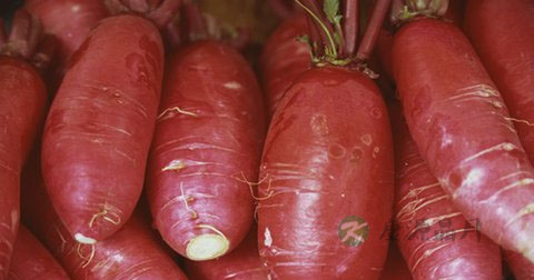 50岁男人长粉刺怎么办