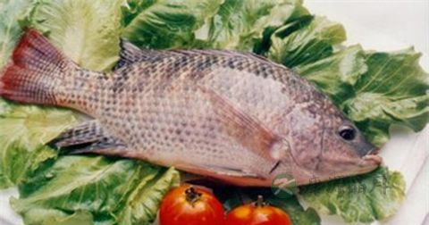 良性前列腺增生症要注意什么 良性前列腺增生症要注意什么