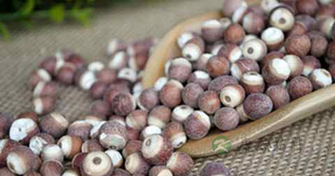 治疗早泻的食物 治疗早泻的食物