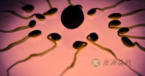 50岁男人精子存活率高不高 50岁男人精子存活率高不高