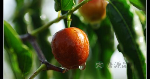 30岁的男人需要什么保健品