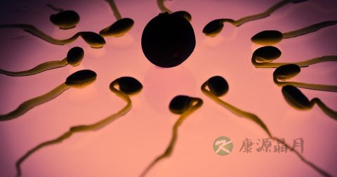 精子能美容吗 精子能美容吗