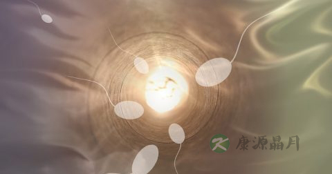 精子能美容吗 精子能美容吗