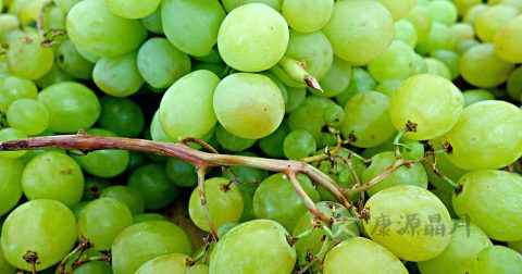 男人得了胃病吃什么水果