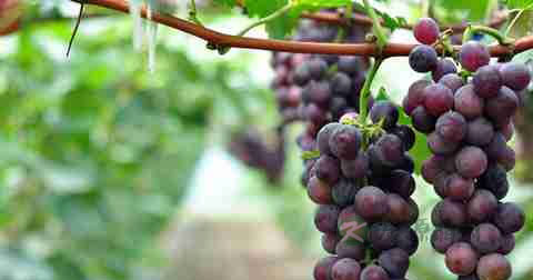 早泄有什么原因