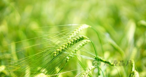 男性服用雌激素会怎样 男性服用雌激素会怎样