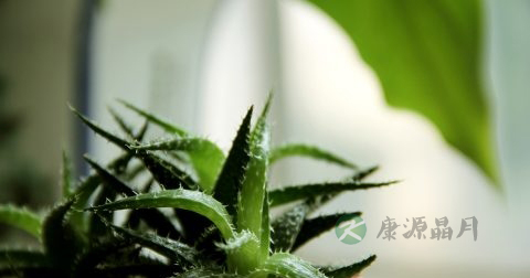 治疗痤疮的方法有哪些