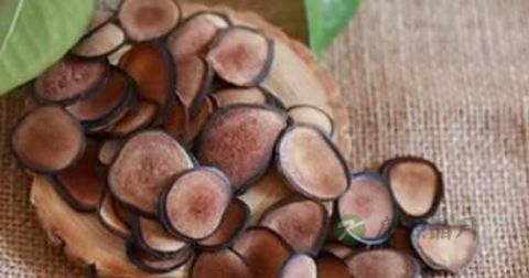 养精补肾的食物