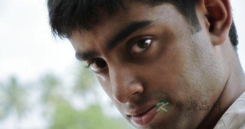 怎么样算阳痿 怎么样算阳痿