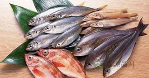 男性更年期的症状 男性更年期的症状