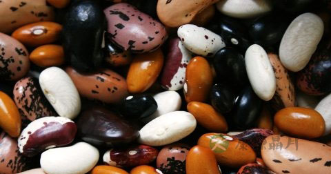 用什么可以防止脱发 用什么可以防止脱发