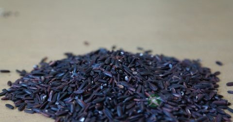 包皮阻复环有用吗 包皮阻复环有用吗