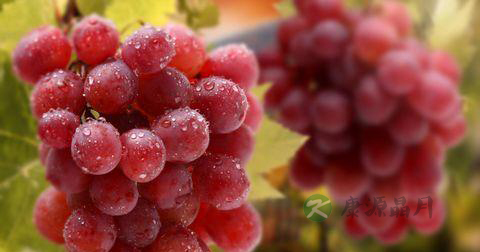 男人如何自我治疗前列腺炎