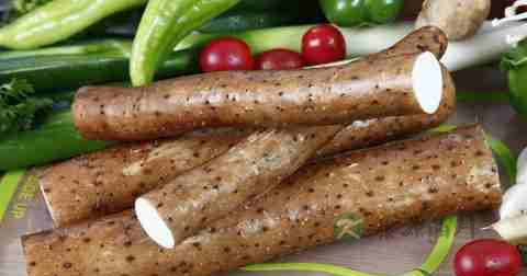 遗精早泄吃什么药 遗精早泄吃什么药