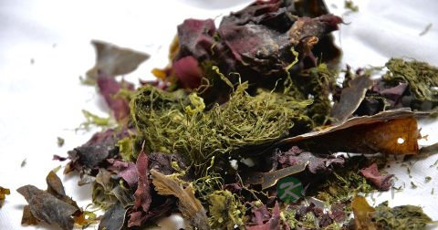 手淫早泄吃什么 手淫早泄吃什么