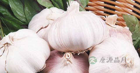 吃蒜增男人味!最健康的大蒜食谱大全 吃蒜增男人味!最健康的大蒜食谱大全