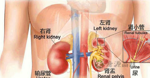 男人到了25岁该注意怎么样养生