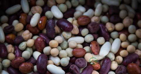 男宝胶囊的作用 男宝胶囊的作用