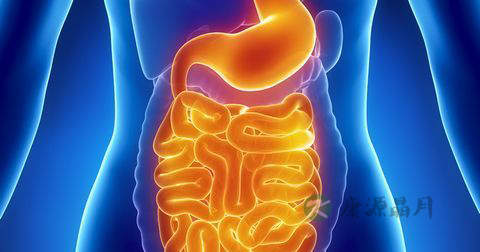 大便有白色粘液是怎么回事