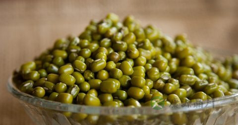 龟头红斑怎么回事 龟头红斑怎么回事