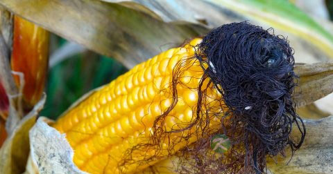 手上长水泡怎么办 手上长水泡怎么办