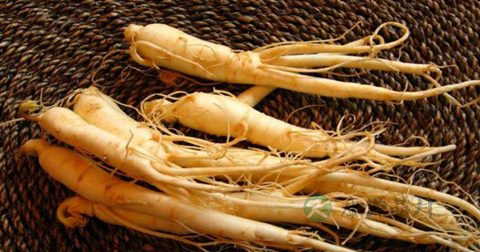 有什么办法治疗早泄 有什么办法治疗早泄