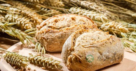 男人早泄吃什么有效