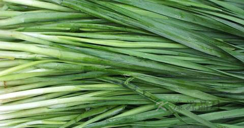 怎么防治早泄 怎么防治早泄