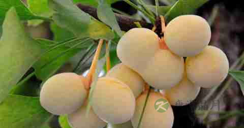 怎么治阳痿早泄好 怎么治阳痿早泄好